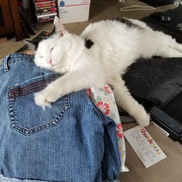 Meet me! - Picture 4 of 5